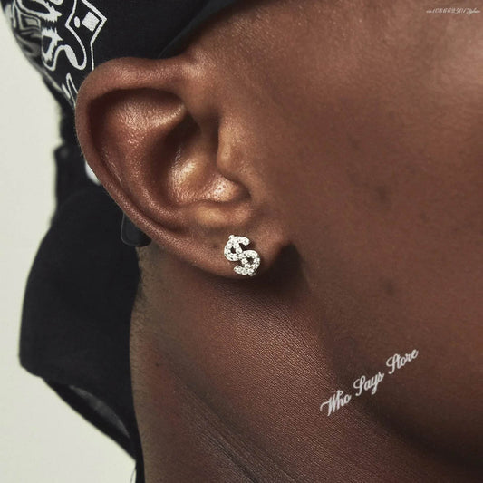 Stainless Steel Earrings Hip Hop Jewelry Stud Earring Iced Out Zircon Dollar Sign Gold Plated Earrings for Women Серьги Женские - DRIPPIN AURA